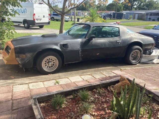 1977 Pontiac Firebird