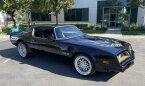 Thumbnail Photo 3 for 1977 Pontiac Trans Am for Sale by Owner