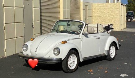 Photo 1 for 1977 Volkswagen Beetle