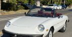 Thumbnail Photo 2 for 1978 Alfa Romeo Spider
