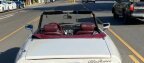 Thumbnail Photo 1 for 1978 Alfa Romeo Spider