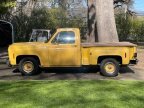 Thumbnail Photo 1 for 1978 Chevrolet C/K Truck C10 for Sale by Owner