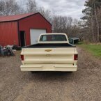 Thumbnail Photo 1 for 1978 Chevrolet C/K Truck