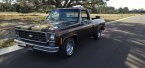 Thumbnail Photo 3 for 1978 Chevrolet C/K Truck