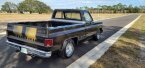Thumbnail Photo 4 for 1978 Chevrolet C/K Truck