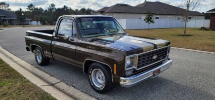 Photo 1 for 1978 Chevrolet C/K Truck
