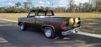 Thumbnail Photo 6 for 1978 Chevrolet C/K Truck