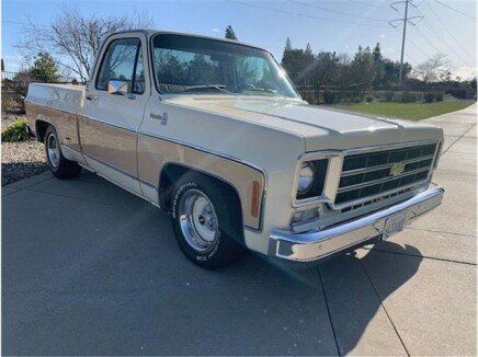 Photo 1 for 1978 Chevrolet C/K Truck