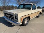 Thumbnail Photo 2 for 1978 Chevrolet C/K Truck