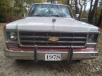 Thumbnail Photo 4 for 1978 Chevrolet C/K Truck Silverado