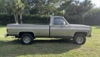 Thumbnail Photo 3 for 1978 Chevrolet C/K Truck