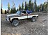 1978 Chevrolet C/K Truck