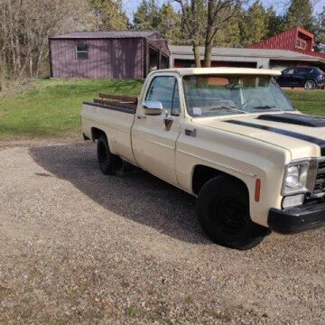 1978 Chevrolet C/K Truck