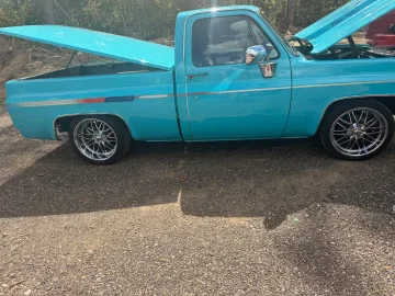 1978 Chevrolet C/K Truck C10