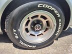 Thumbnail Photo 1 for 1978 Chevrolet Corvette