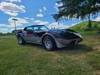Thumbnail Photo 3 for 1978 Chevrolet Corvette