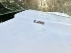 Thumbnail Photo 6 for 1978 Chevrolet Corvette for Sale by Owner