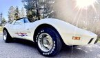 Thumbnail Photo 5 for 1978 Chevrolet Corvette for Sale by Owner
