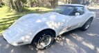 Thumbnail Photo 3 for 1978 Chevrolet Corvette for Sale by Owner