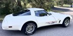 Thumbnail Photo 1 for 1978 Chevrolet Corvette for Sale by Owner