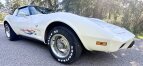 Thumbnail Photo 4 for 1978 Chevrolet Corvette for Sale by Owner