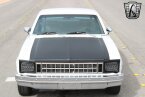 Thumbnail Photo 6 for 1978 Chevrolet Nova
