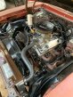 Thumbnail Photo 2 for 1978 Chevrolet Nova