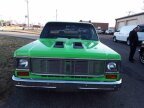 Thumbnail Photo 2 for 1978 Chevrolet Other Chevrolet Models