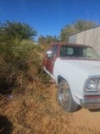 Thumbnail Photo 2 for 1978 Dodge D/W Truck