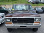 Thumbnail Photo 3 for 1978 Ford F250