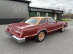 Thumbnail Photo 6 for 1978 Ford Thunderbird