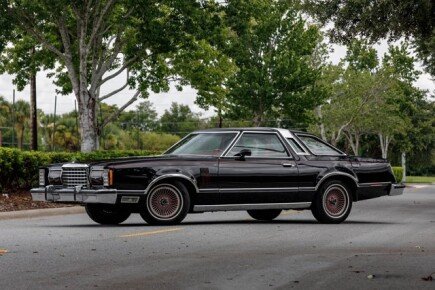 Photo 1 for 1978 Ford Thunderbird