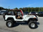 Thumbnail Photo 1 for 1978 Jeep Other Jeep Models