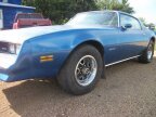 Thumbnail Photo 5 for 1978 Pontiac Firebird