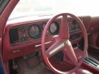 Thumbnail Photo 2 for 1978 Pontiac Firebird
