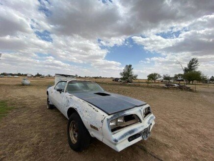Photo 1 for 1978 Pontiac Firebird
