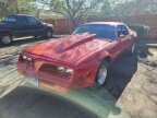 Thumbnail Photo 1 for 1978 Pontiac Firebird