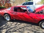 Thumbnail Photo 4 for 1978 Pontiac Firebird