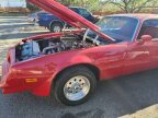 Thumbnail Photo 3 for 1978 Pontiac Firebird