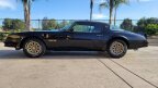 Thumbnail Photo 2 for 1978 Pontiac Firebird