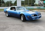 Thumbnail Photo 3 for 1978 Pontiac Firebird