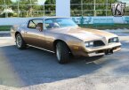 Thumbnail Photo 3 for 1978 Pontiac Firebird
