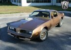 Thumbnail Photo 4 for 1978 Pontiac Firebird