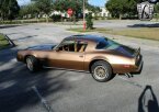 Thumbnail Photo 5 for 1978 Pontiac Firebird