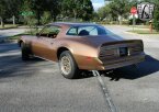 Thumbnail Photo 6 for 1978 Pontiac Firebird