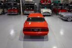 Thumbnail Photo 6 for 1978 Pontiac Firebird