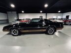 Thumbnail Photo 4 for 1978 Pontiac Firebird