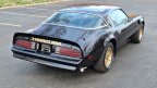 Thumbnail Photo 5 for 1978 Pontiac Firebird
