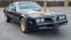 Thumbnail Photo 3 for 1978 Pontiac Firebird