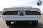 Thumbnail Photo 5 for 1978 Pontiac Firebird
